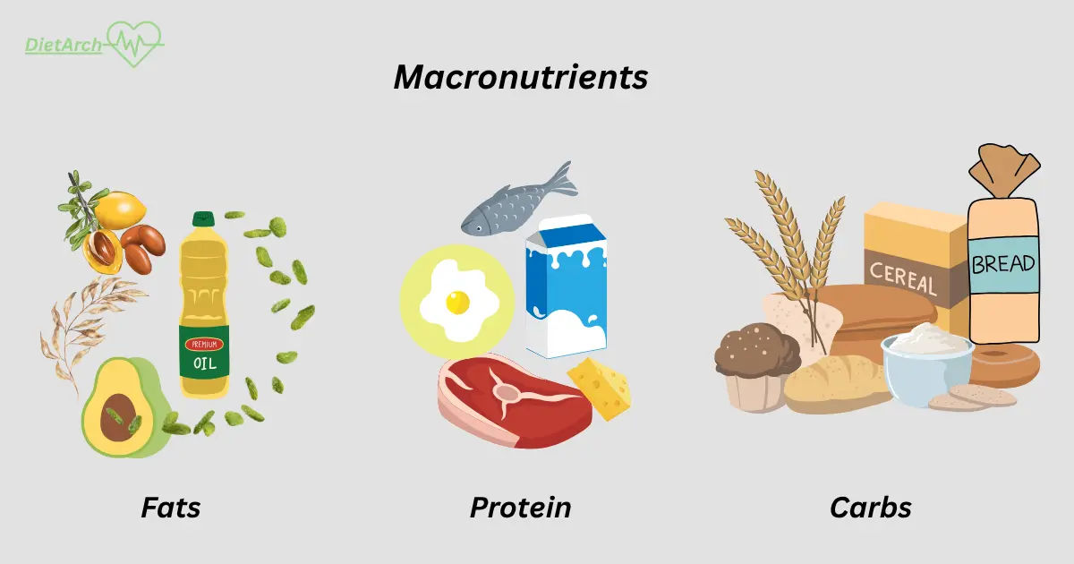 Ultimate Guide to Using a Macronutrient Calculator (Updated 2025) 2 What are macros or macronutrient. Dietarch